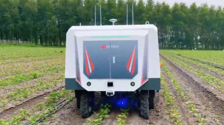 VIDEO: Robots chinos fulminan los peligros de las cosechas con rayos de alta precisión