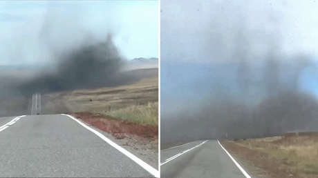 No es humo: una gigantesca nube de mosquitos cubre una carretera en Siberia (VIDEO)