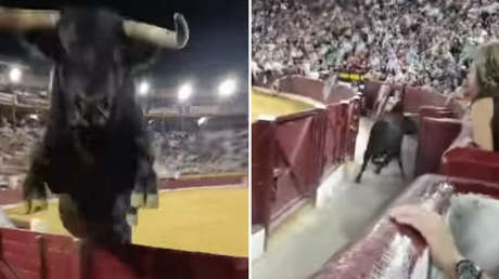 VIDEO: Toro provoca pánico en España al saltar barrera de seguridad