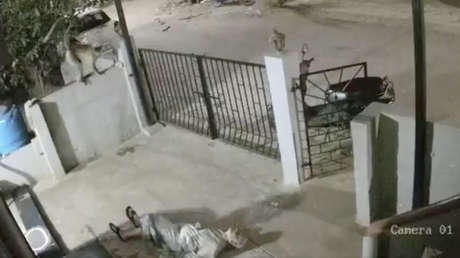 FUERTE VIDEO: Anciana muere tras brutal embestida de un mono