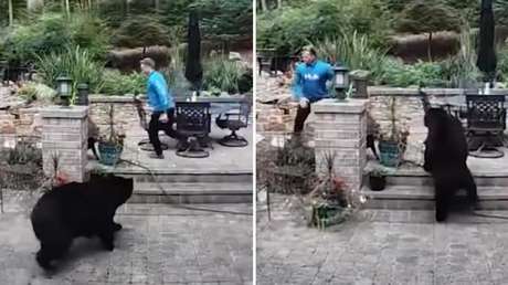 VIDEO: Oso persigue a un hombre en el patio de su casa