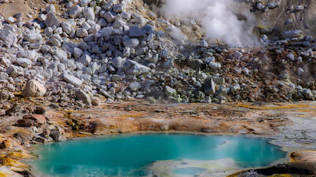 "Supera los límites de lo que creíamos posible": Hallan una ameba que desafía el calor letal