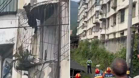 Un oso 'alpinista' sorprende en China (VIDEO)