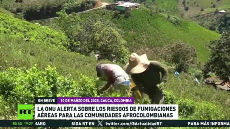 La ONU alerta sobre los riesgos de fumigaciones aéreas para las comunidades afrocolombianas