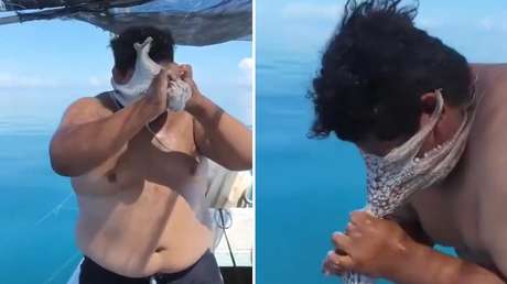 VIDEO: El desesperante momento en que un pulpo se aferra a la cara de un pescador