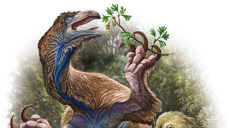 Desentierran en China un extraño dinosaurio gigante con enormes garras y una peculiar mandíbula