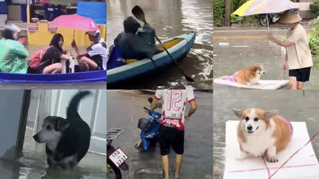 Lluvias en Tailandia inundan las redes con un humor bastante 'anfibio' (VIDEOS)