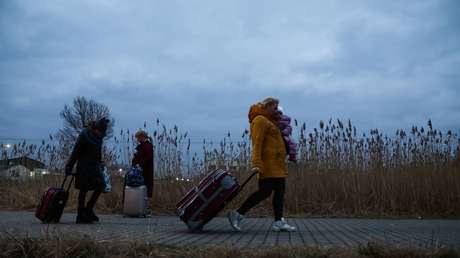 "Amenaza potencial para la seguridad del Estado": Eurodiputada alerta sobre migrantes ucranianos