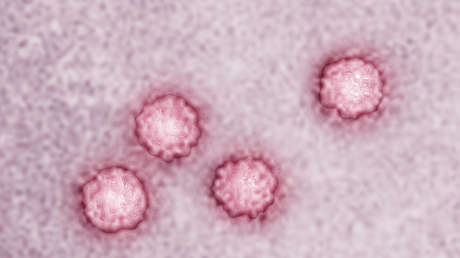 Cinco infecciones estarían detrás de más de 2 millones de casos de cáncer: ¿cuáles son?