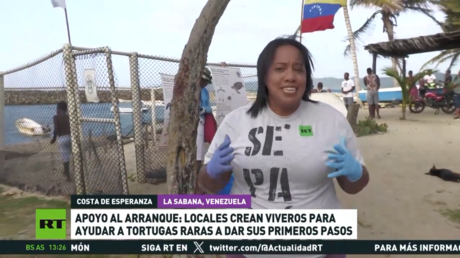 Apoyo al arranque: locales crean viveros para ayudar a tortugas raras a dar sus primeros pasos