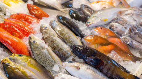 El pescado que ayuda a cuidar la tiroides, regular la presión arterial y proteger la vista