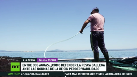 Entre dos aguas: ¿Cómo defender la pesca gallega ante las normas de la UE sin perder viabilidad?
