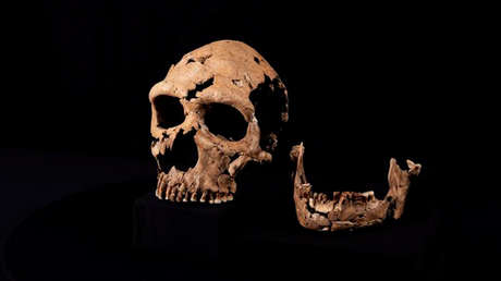 Un misterioso agujero en un esqueleto de hace 70.000 años apunta a un crimen prehistórico