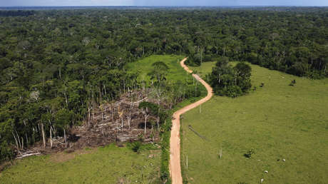 Deforestación en la Amazonía brasileña cae a su nivel más bajo, con una inminente elección clave