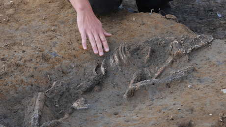 Lo que encontraron bajo una futura escuela llevaba 7.000 años oculto