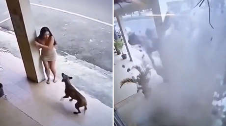 VIDEO: Perro alerta a joven segundos antes de una catástrofe