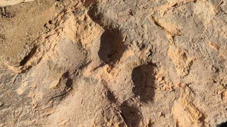 Hallan en Turquía un ladrillo de 4.000 años con huellas de perro