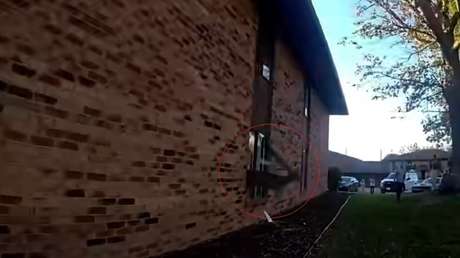 VIDEO: Un ciervo destroza la ventana de un apartamento para huir de la Policía