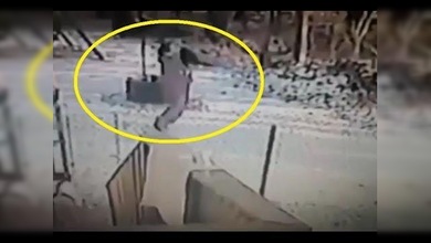 La gran venganza: un gato ataca a una mujer y la hace retroceder