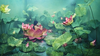 Fotos surrealistas sin huella de Photoshop