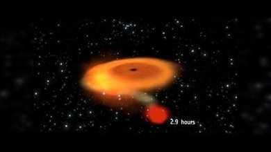 Una estrella da una vuelta alrededor de un agujero negro en 2,4 horas