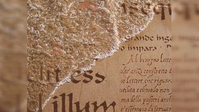 UNESCO: más de la mitad de todos los idiomas están amenazados