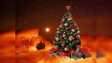 Los tripulantes de ‘Mars 500’ dan la bienvenida al Año Nuevo 