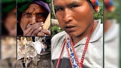 Lingüistas rescatan las lenguas en peligro del 'Babel latinoamericano'