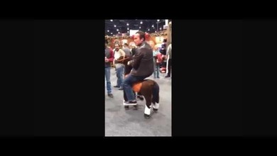 Arnold Schwarzenegger monta un caballito mecánico de juguete
