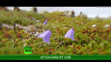 Tras el Círculo Polar Ártico