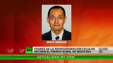 El Nobel de Medicina 2012 queda en manos de dos investigadores de células madre