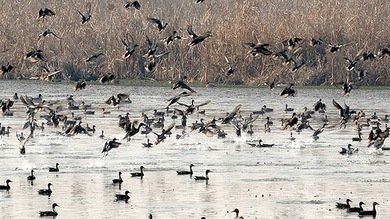 Un estudio alerta de la amenaza del 'fracking' para la naturaleza en Reino Unido