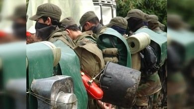 Capturan en Colombia a un cabecilla de las FARC discípulo del 'Mono Jojoy'