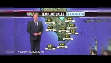 Un gato sale al aire al momento del pronóstico del tiempo