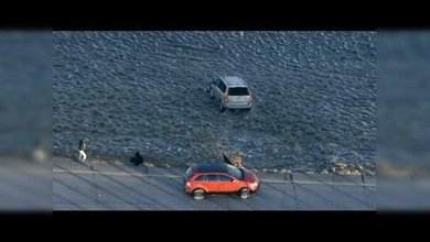 ¿GTA en la vida real?
