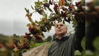 El único banco genético de plantas agrícolas, en peligro de destrucción