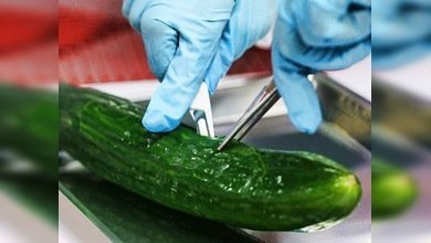 España exige compensaciones a Alemania por la "crisis del pepino"