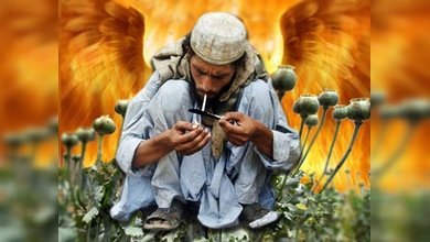Las flores del mal, en Afganistán
