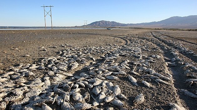 Fotos: El lago apocalíptico que amenaza a EE.UU. con una catástrofe ecológica