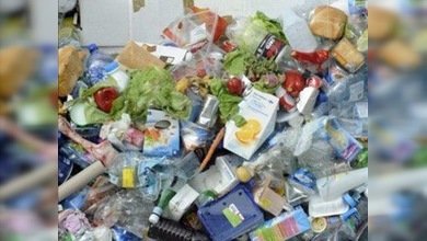 ¿Adiós a la fecha de caducidad? Descubren un conservante natural revolucionario