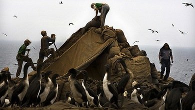 Los trabajos más desagradables y fatigosos