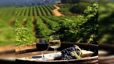 Moldavia reanuda los suministros de vino a Rusia