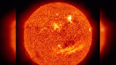 La sonrisa del Sol: un astro bastante apacible y algo despreocupado