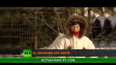 El síndrome de amor