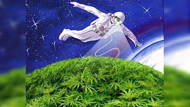 En Rusia buscarán plantaciones de marihuana desde el espacio
