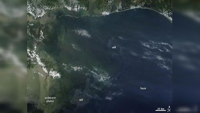 Expertos ven el metano como uno de los causantes de la mortandad 