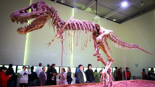 Encuentran la razón por la que los dinosaurios eran tan gigantes