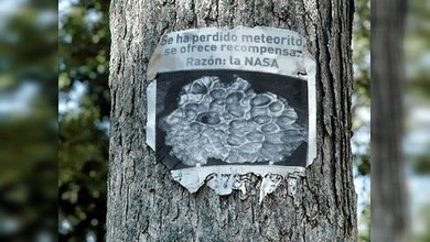 Sin 'v' de vuelta: la NASA 'pierde' cientos de muestras de rocas espaciales