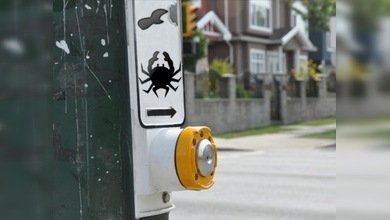 En Taiwán los conductores cederán el paso a cangrejos