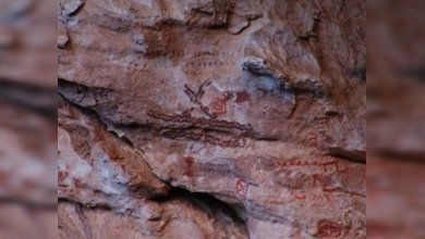 Tecnologías digitales ayudan a conservar pinturas rupestres mexicanas 